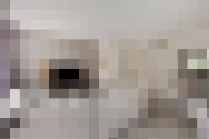 Zalmstraat 6 Woudrichem thumbnail 8