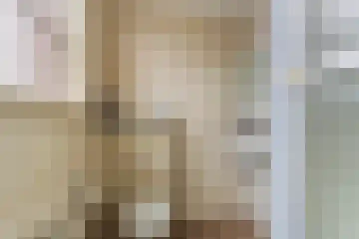 Zalmstraat 8 Krimpen aan de Lek thumbnail 23