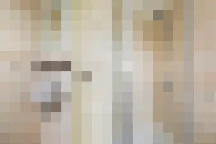 Zalmstraat 8 Krimpen aan de Lek thumbnail 24