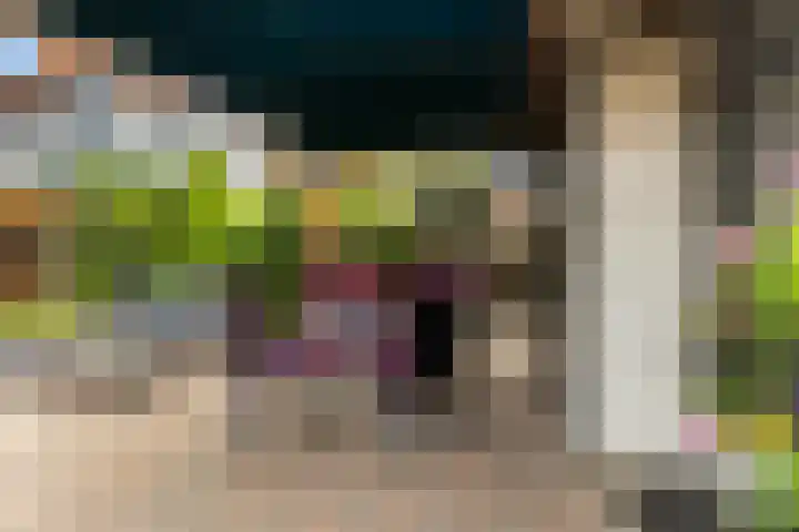 Zalmstraat 8 Krimpen aan de Lek thumbnail 26