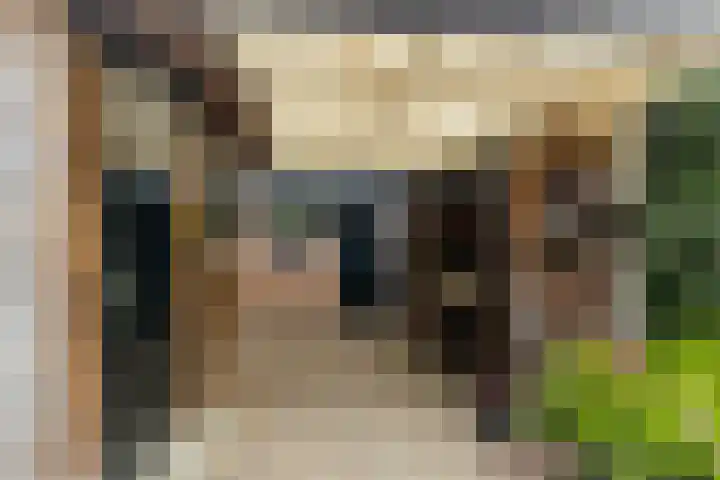 Zalmstraat 8 Krimpen aan de Lek thumbnail 29