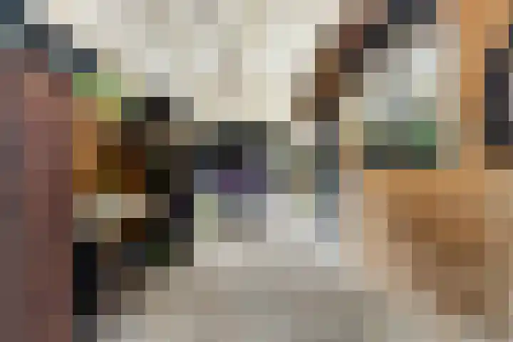 Zalmstraat 8 Krimpen aan de Lek thumbnail 31