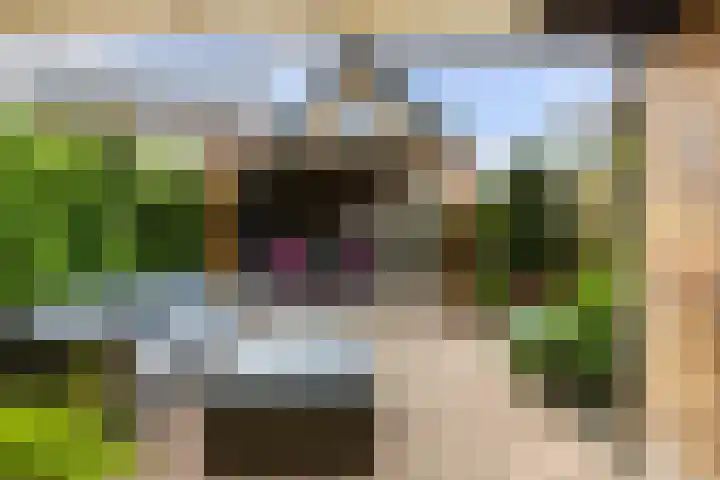 Zalmstraat 8 Krimpen aan de Lek thumbnail 32