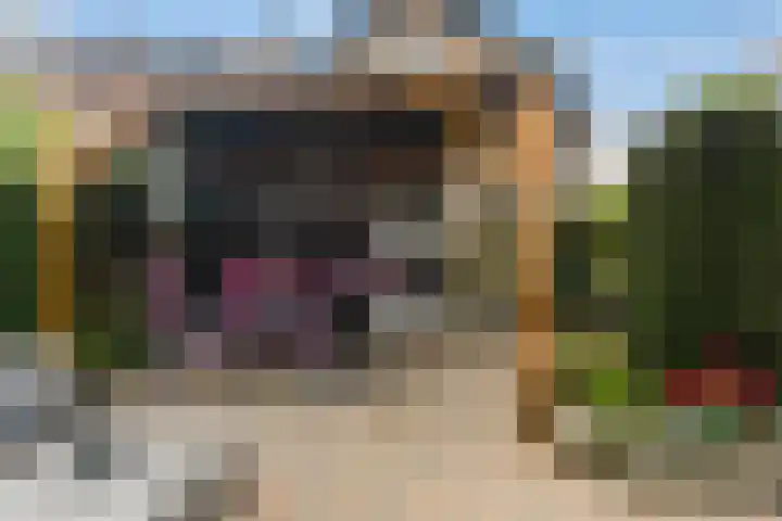 Zalmstraat 8 Krimpen aan de Lek thumbnail 33