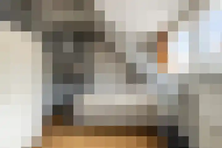 Zalmstraat 8 Krimpen aan de Lek thumbnail 40