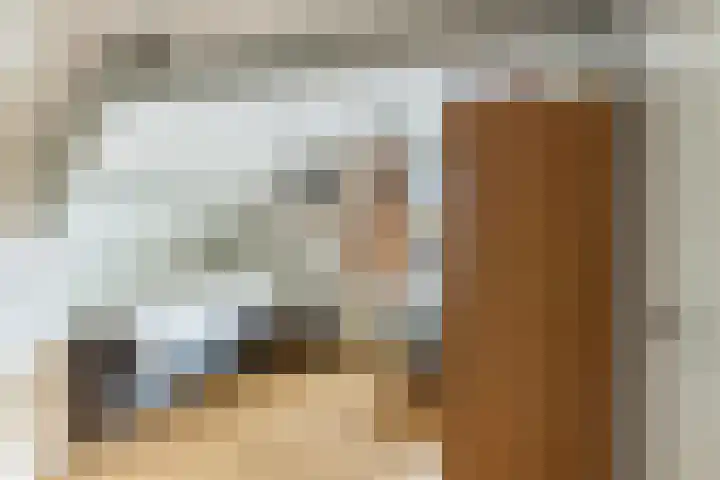 Zalmstraat 8 Krimpen aan de Lek thumbnail 41