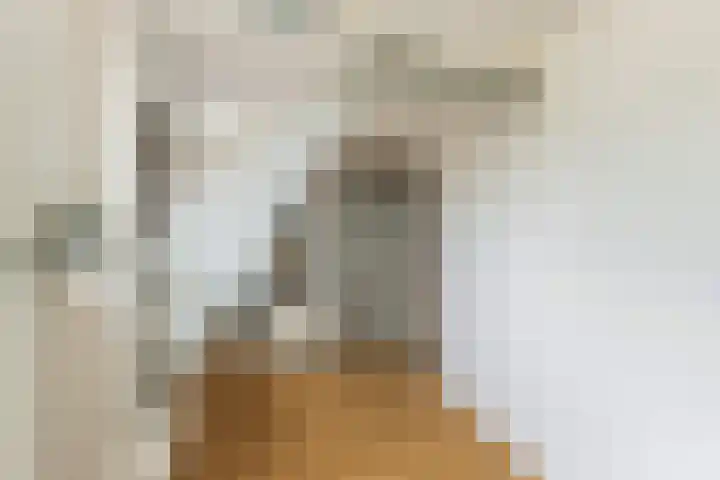 Zalmstraat 8 Krimpen aan de Lek thumbnail 48