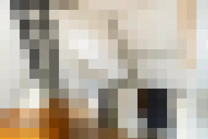 Zalmstraat 8 Krimpen aan de Lek thumbnail 49