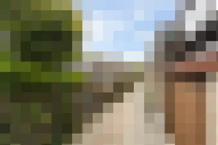 Zalmstraat 8 Krimpen aan de Lek thumbnail 50