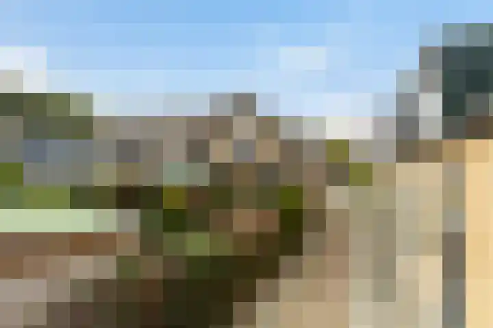 Zalmstraat 8 Krimpen aan de Lek thumbnail 51