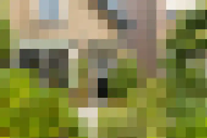 Zalmstraat 8 Krimpen aan de Lek thumbnail 53