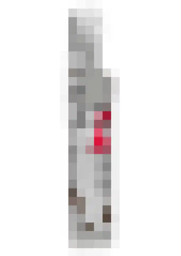 Zalmstraat 8 Krimpen aan de Lek thumbnail 56