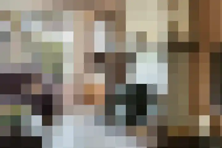 Zalmstraat 8 Krimpen aan de Lek thumbnail 6