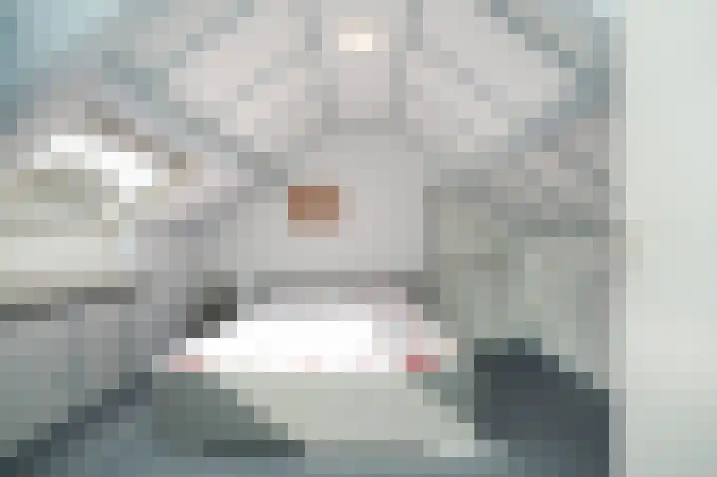Zalmvissersstraat 2 Kerkdriel thumbnail 34
