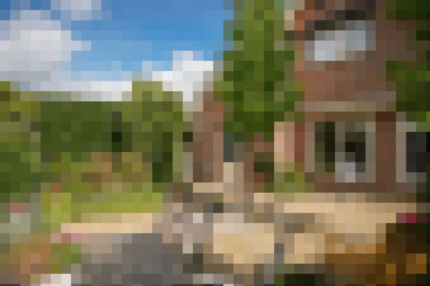 Zalmvissersstraat 2 Kerkdriel thumbnail 39