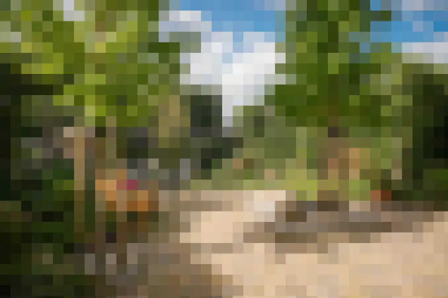 Zalmvissersstraat 2 Kerkdriel thumbnail 4