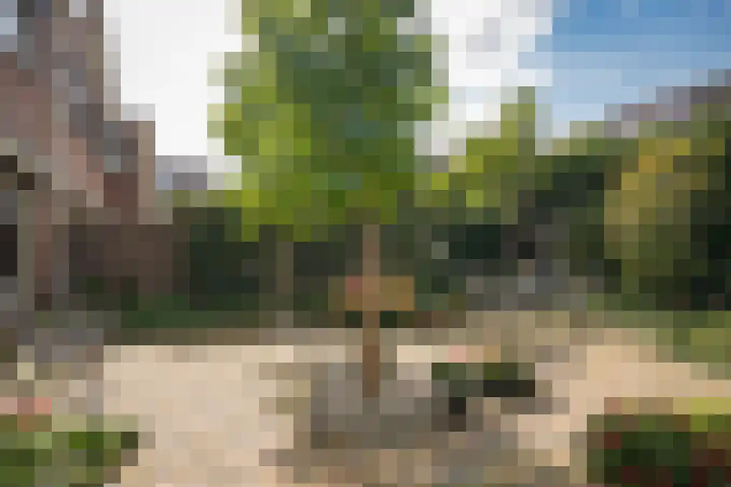 Zalmvissersstraat 2 Kerkdriel thumbnail 40
