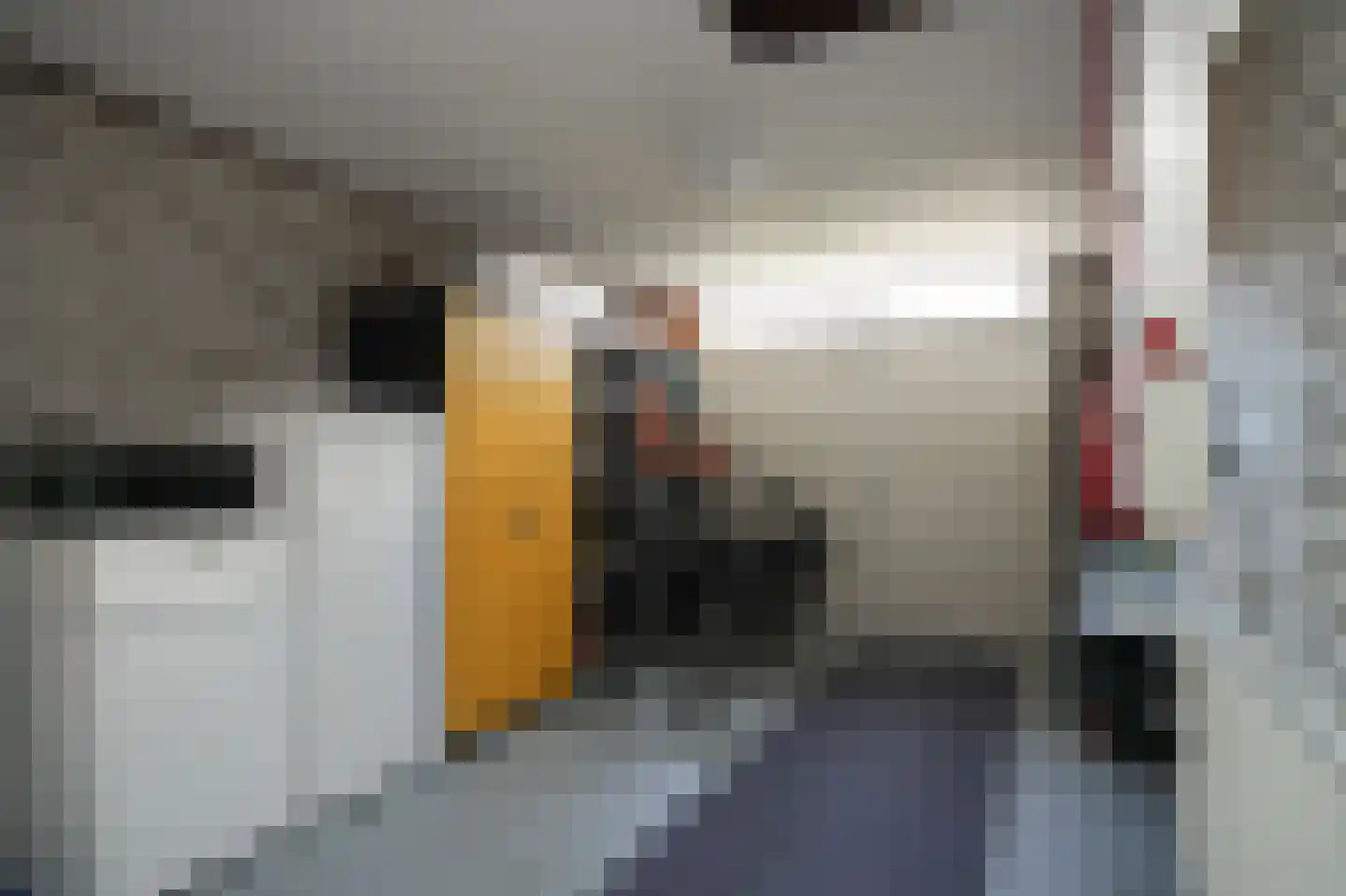 Zalmvissersstraat 2 Kerkdriel thumbnail 48