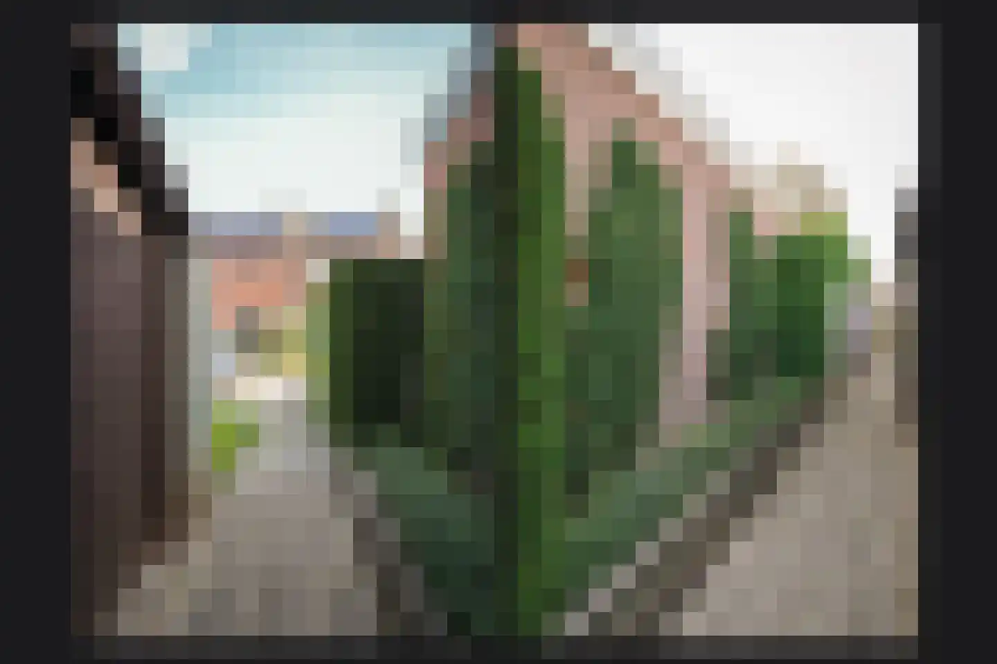 Zalmvissersstraat 2 Kerkdriel thumbnail 51