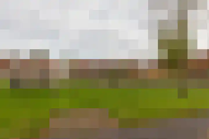 Zalmwater 131 Barendrecht thumbnail 43