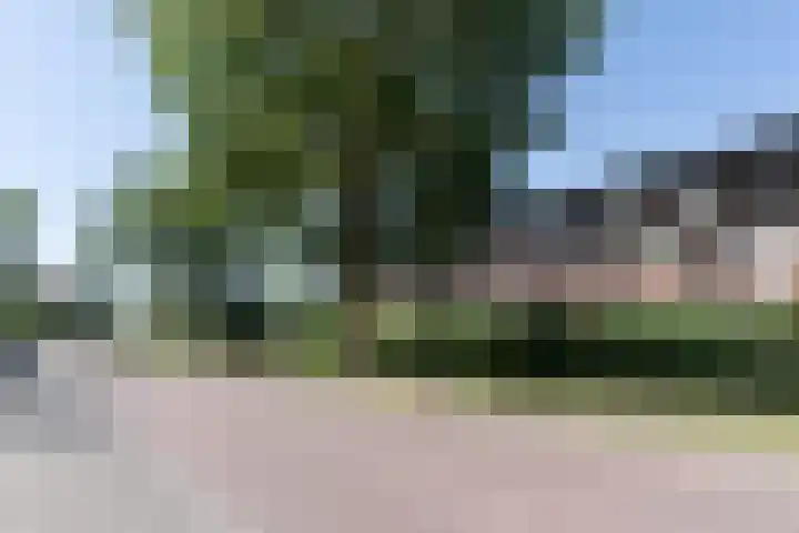 Zalmwater 17 Barendrecht thumbnail 41