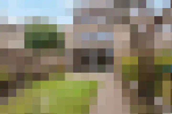 Zalmwater 79 Barendrecht thumbnail 30