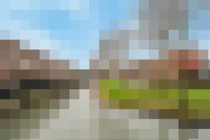 Zalmwater 79 Barendrecht thumbnail 32