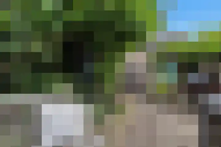Zalmwater 95 Barendrecht thumbnail 34