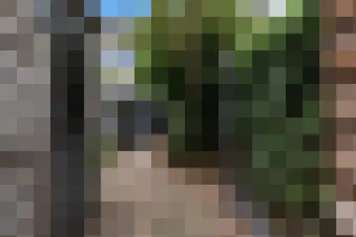 Zalmwater 95 Barendrecht thumbnail 35