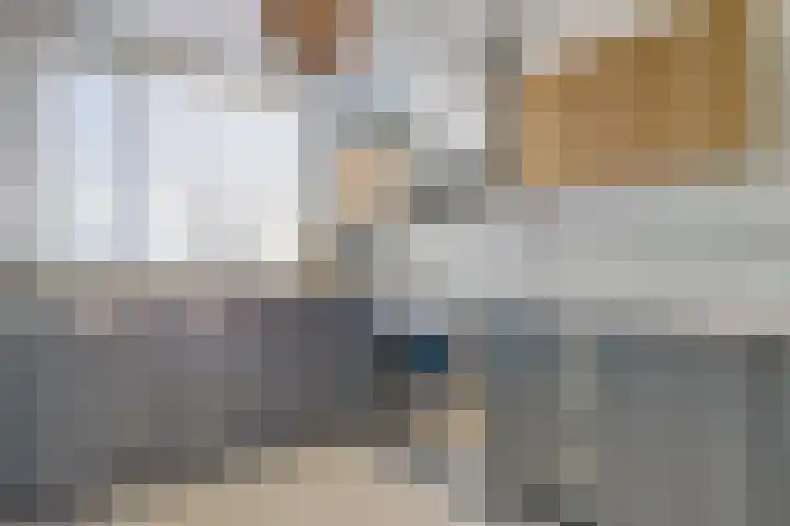Zalmzegenpad 13 Hoogvliet Rotterdam thumbnail 11