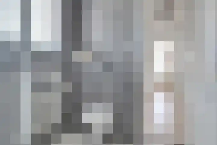 Zalmzegenpad 13 Hoogvliet Rotterdam thumbnail 24