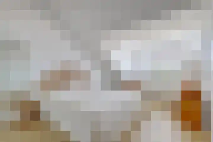 Zalmzegenpad 13 Hoogvliet Rotterdam thumbnail 27