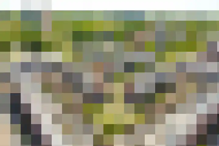 Zalmzegenpad 13 Hoogvliet Rotterdam thumbnail 31