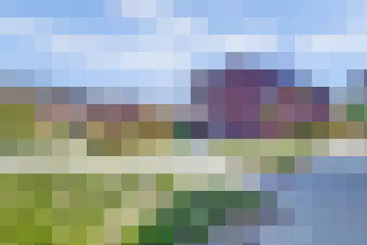 Zalmzegenpad 13 Hoogvliet Rotterdam thumbnail 32