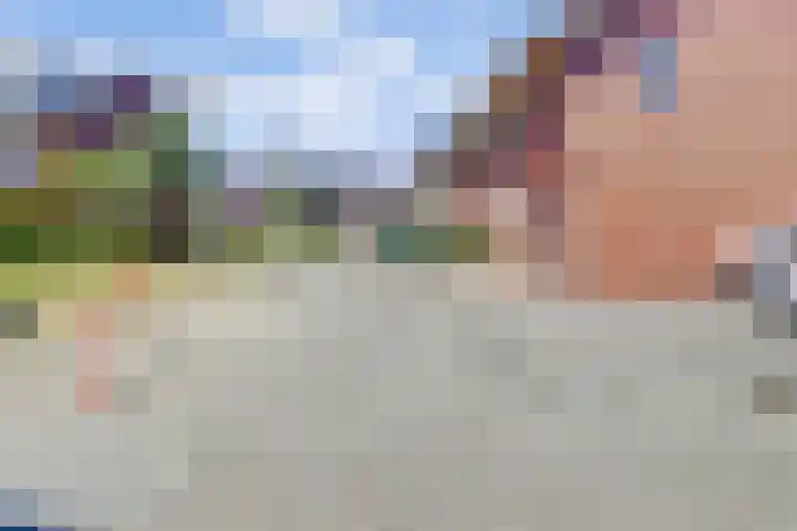Zalmzegenpad 13 Hoogvliet Rotterdam thumbnail 39