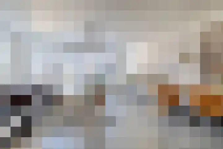 Zalmzegenpad 13 Hoogvliet Rotterdam thumbnail 4