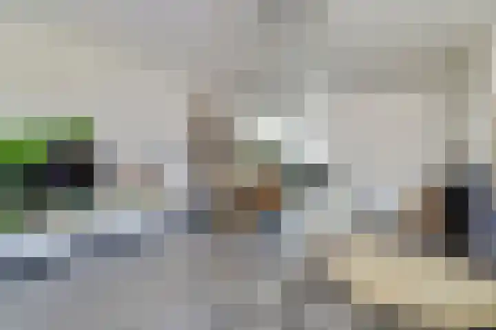 Zalmzegenpad 13 Hoogvliet Rotterdam thumbnail 6