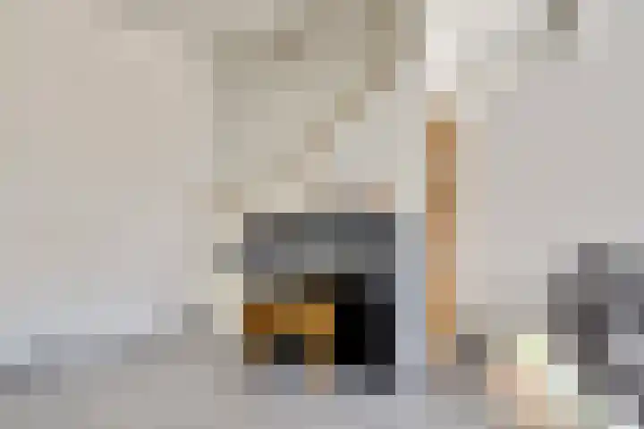 Zalmzegenpad 13 Hoogvliet Rotterdam thumbnail 8