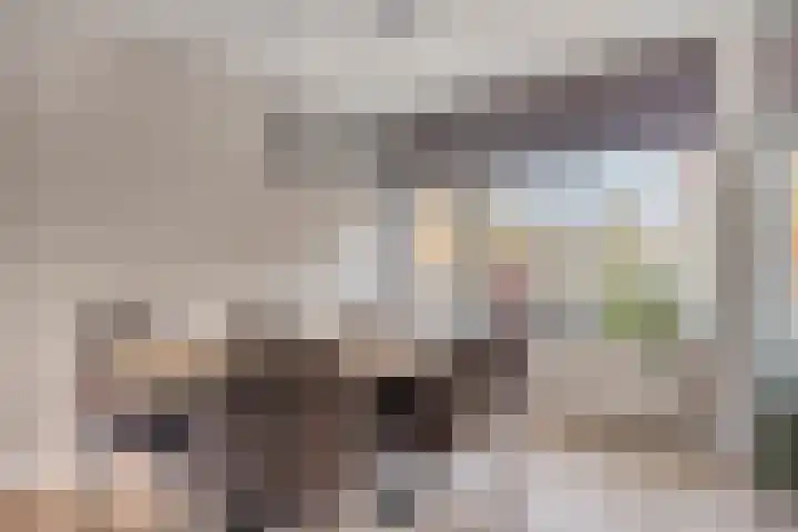 Zaltbommelseweg 24 Oss thumbnail 10