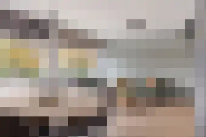 Zaltbommelseweg 24 Oss thumbnail 11