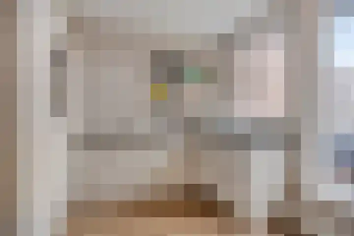 Zaltbommelseweg 24 Oss thumbnail 13