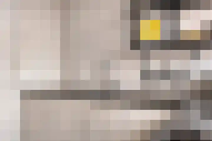Zaltbommelseweg 24 Oss thumbnail 14