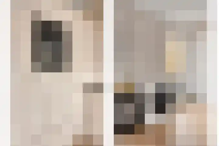 Zaltbommelseweg 24 Oss thumbnail 15