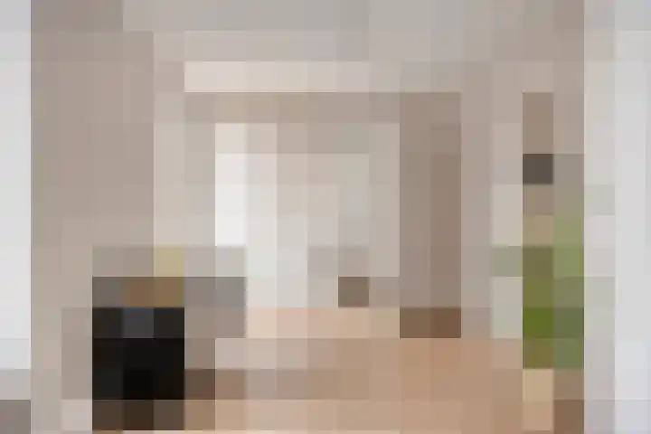 Zaltbommelseweg 24 Oss thumbnail 16