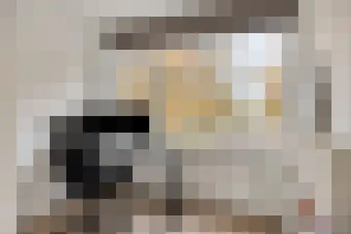 Zaltbommelseweg 24 Oss thumbnail 19
