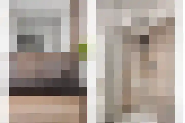 Zaltbommelseweg 24 Oss thumbnail 20