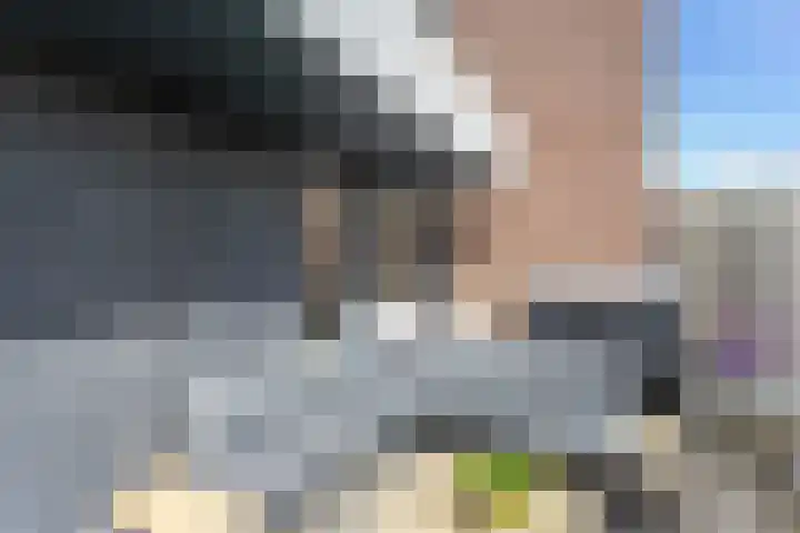Zaltbommelseweg 24 Oss thumbnail 22