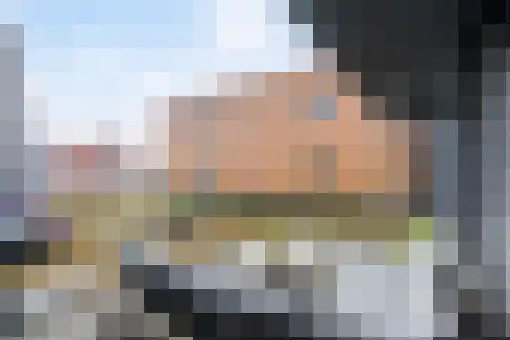 Zaltbommelseweg 24 Oss thumbnail 24