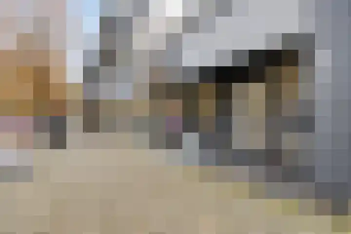 Zaltbommelseweg 24 Oss thumbnail 28