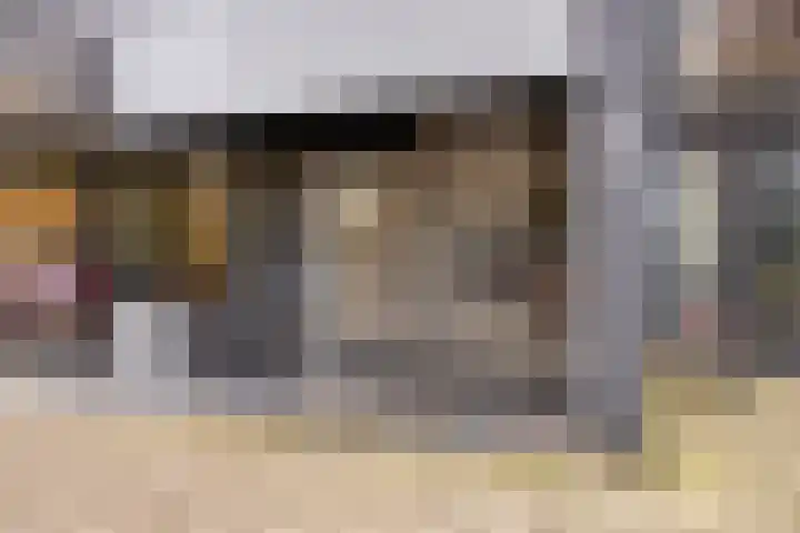 Zaltbommelseweg 24 Oss thumbnail 29